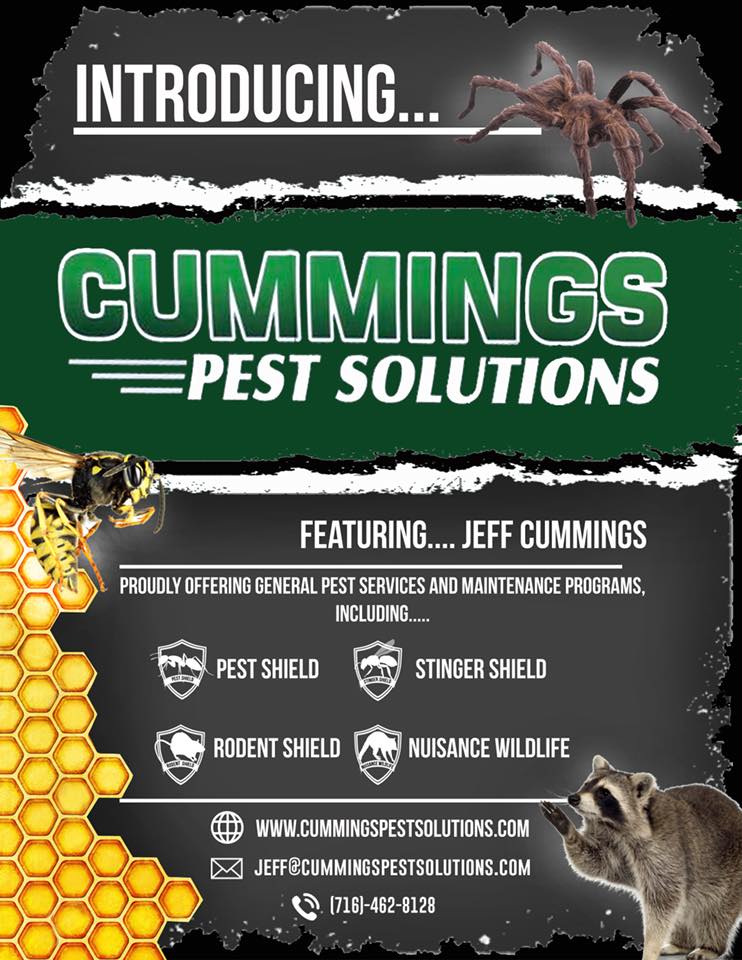 Pest Control Wildlife Removal Gasport Niagara Falls Buffalo Ny Cummings Pest Solutions